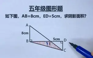 Download Video: 五年级：求阴影部分面积