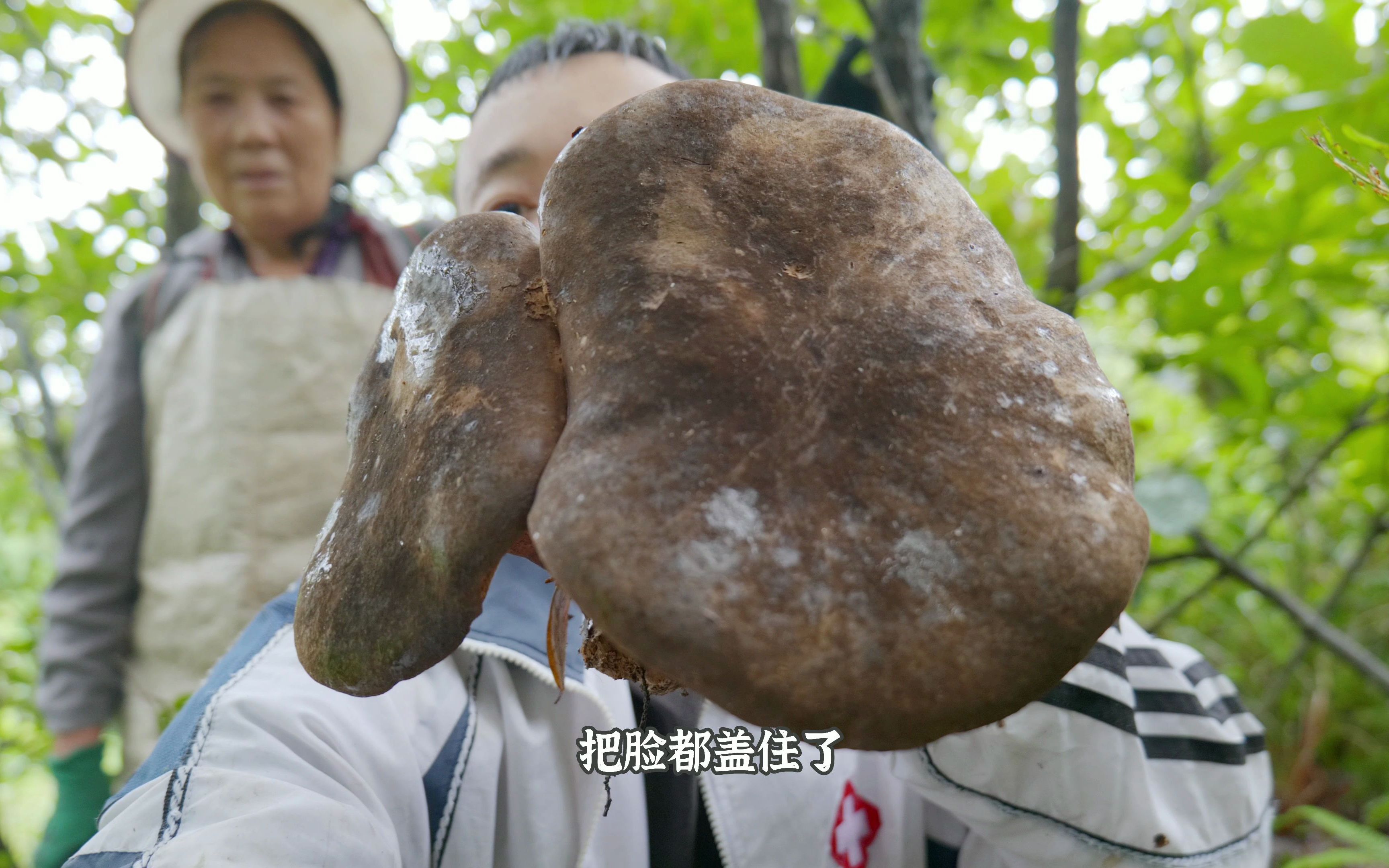 捡了几个黑牛肝菌,弄点辣椒、大蒜和花椒叶炒黑牛肝菌哔哩哔哩bilibili