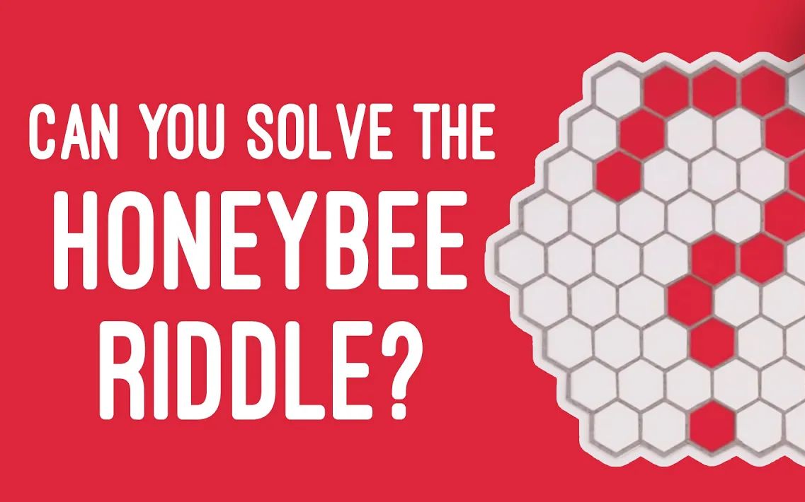 [图]#TED-Ed | Can you solve the honeybee riddle? 你能解决蜜蜂之谜吗？