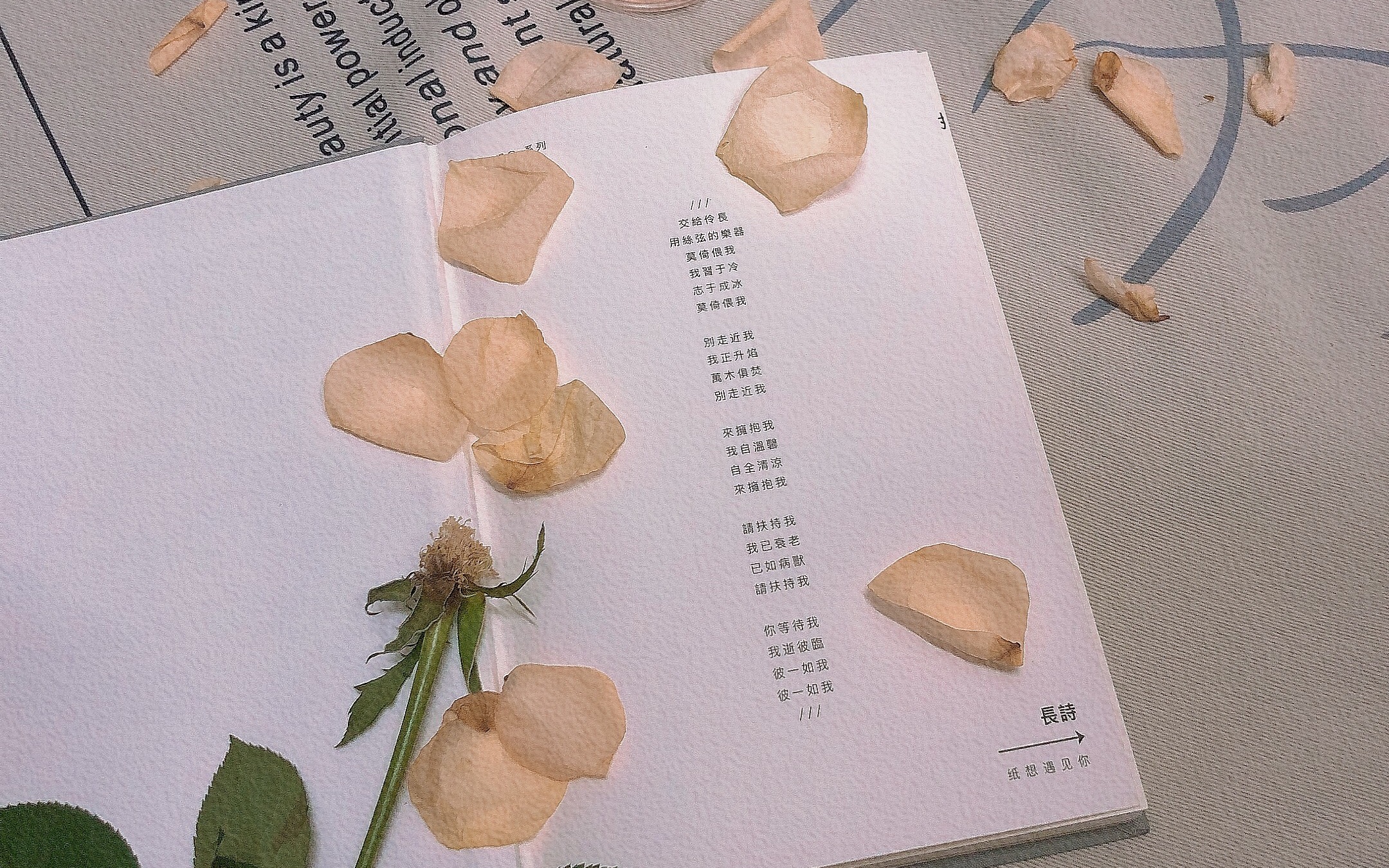 好听哭了,喻言弹唱恶作剧之吻插曲《你》 温柔到极致!都给我听!