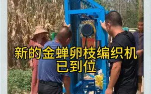 Download Video: 由于养殖户快速增加原来的手工编织已无法满足需求，河南信阳市固始县马堽集镇姚寨村胡北店组（金蝉哥黄伟崴养殖合作社）#金蝉养殖 #信阳金蝉哥黄伟崴 #金蝉卵枝编织机