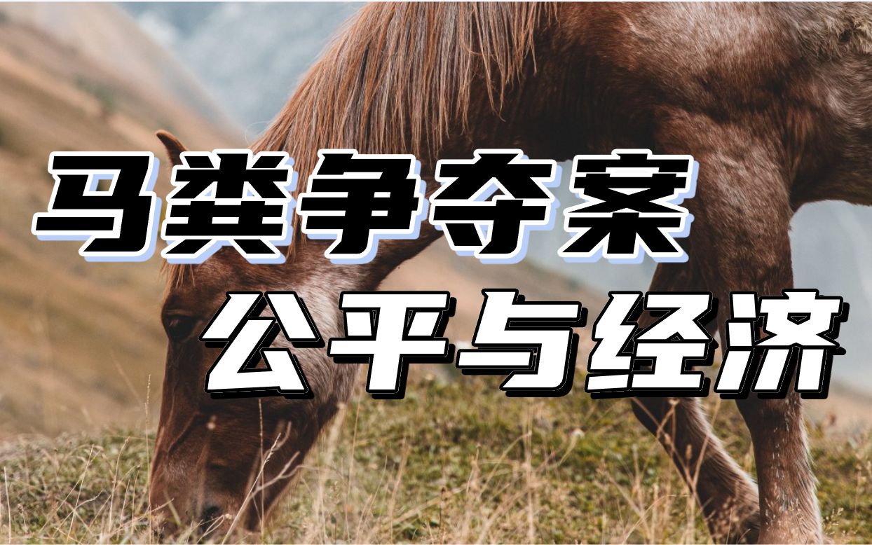 马粪争夺案看公平背后的经济学考量,公平正义的天平是经济?