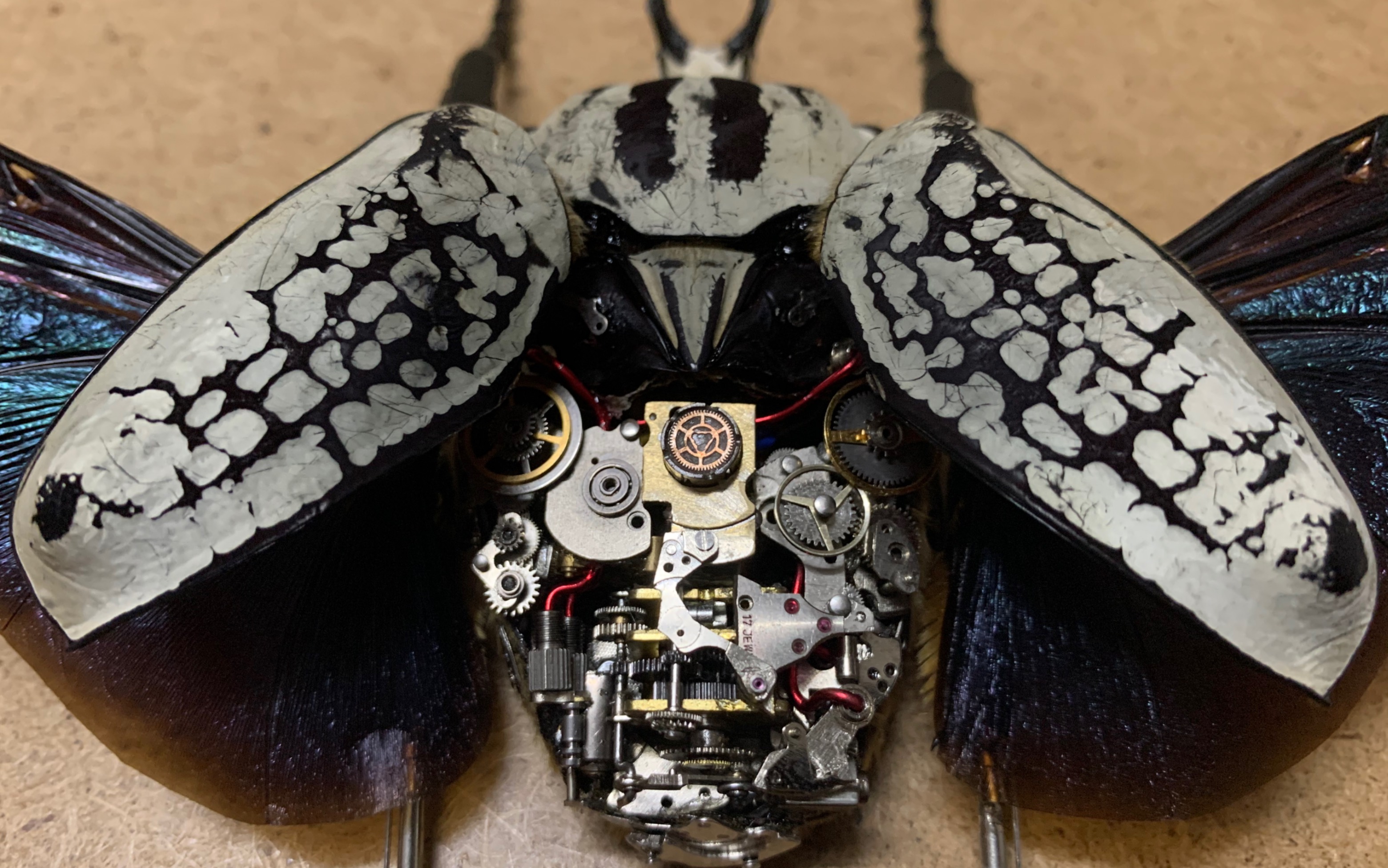 蒸汽朋克昆虫大王花金龟goliathusgoliatus