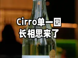 Cirro单一园长相思来了