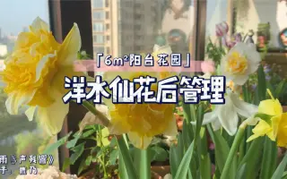 球根保存 哔哩哔哩 Bilibili