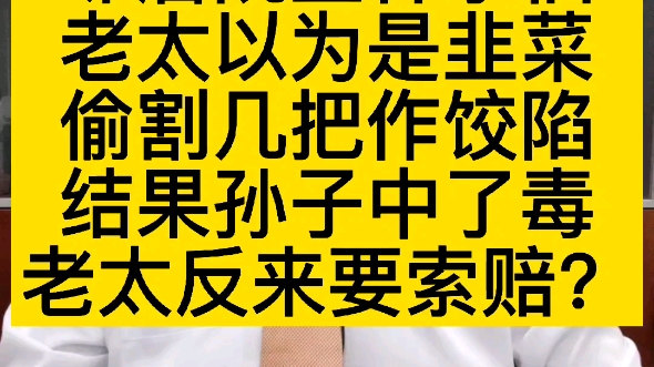 老太误认邻居家水仙是韭菜,偷割一些作饺子馅,结果孙子中毒,于是老太去找邻居家索赔!哔哩哔哩bilibili