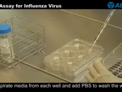 Descargar video: 【搬运】病毒空斑实验 Plaque Assay for Influenza Virus