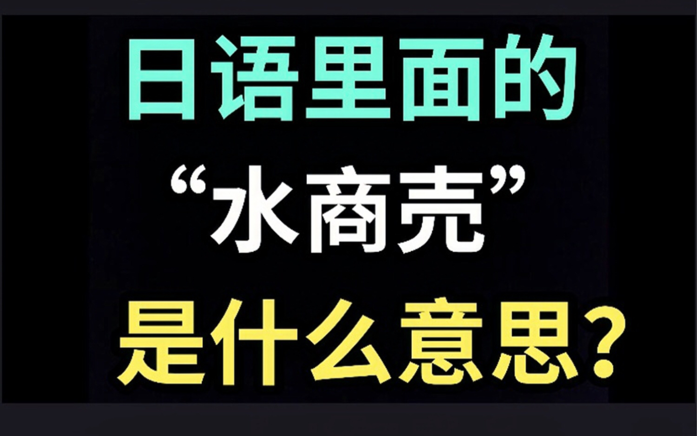 日语里的“水商売”是什么意思?【每天一个生草日语】哔哩哔哩bilibili