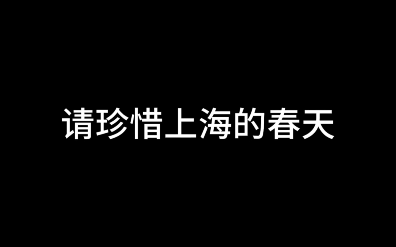 [图]请珍惜上海的春天