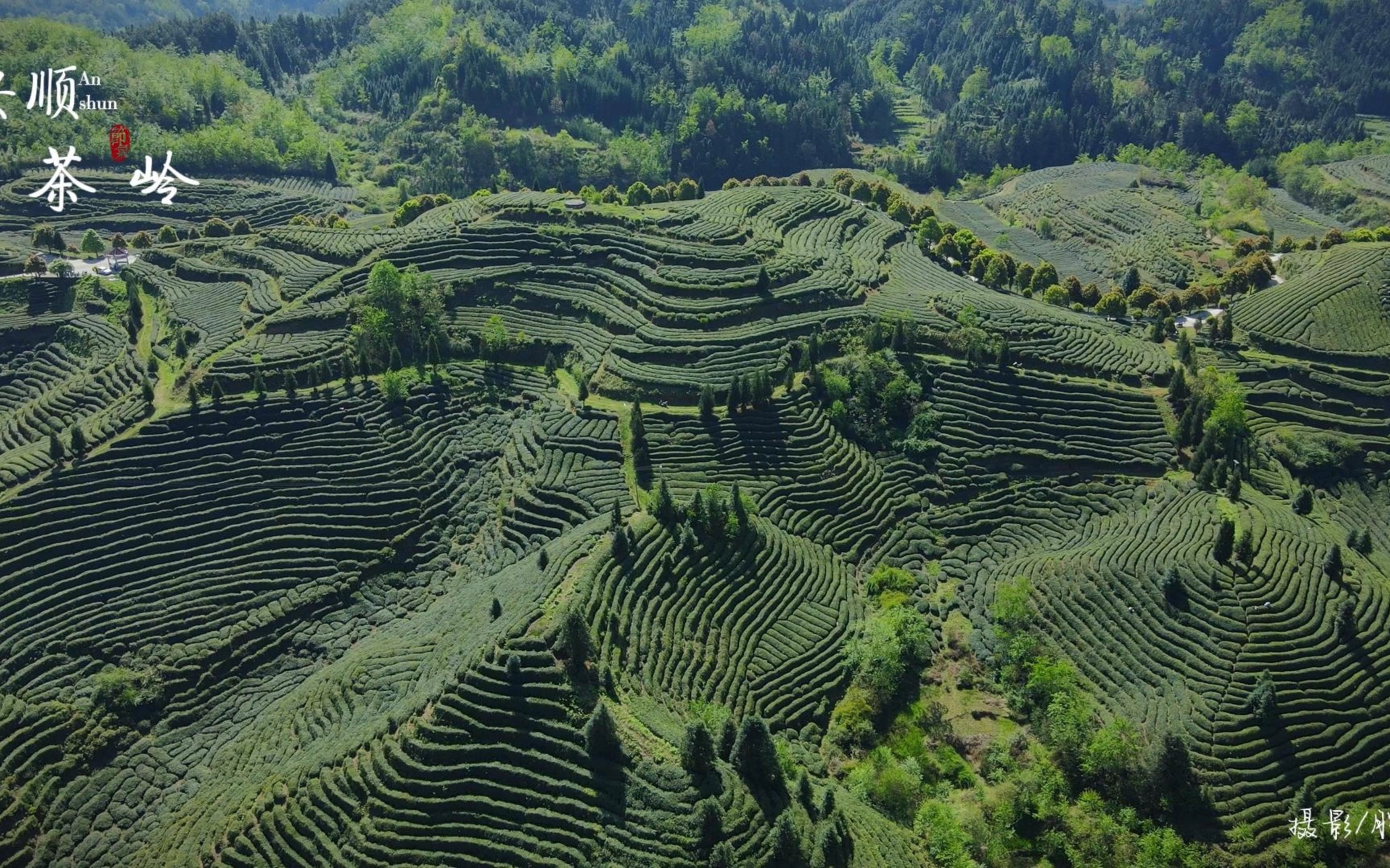 安顺山林图片