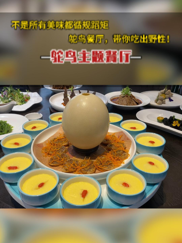 大渡口鸵鸟宴位置,大渡口鸵鸟宴在哪里,大渡口鸵鸟宴好吃吗,大渡口