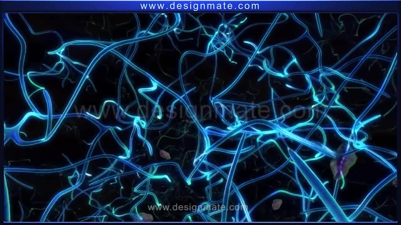 神经元结构三维大片(Science  Structure of Neuron)哔哩哔哩bilibili