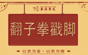 Download Video: 《中华武术戳脚翻子拳》手是两扇门全凭脚打人