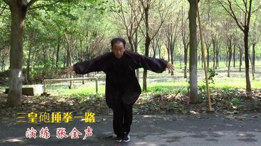 三皇炮锤拳，对这个拳法了解的朋友可以说一说我对这个拳法不是很