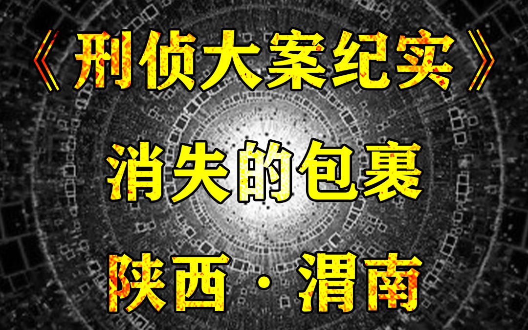 陕西渭南大案:消失的人形包裹,男人将前妻杀害后,用被子伪装成包裹哔哩哔哩bilibili