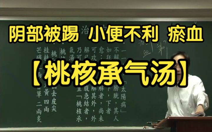 45 瘀血第一方 血瘀膀胱 阴部被踢(桃核承气汤)【倪海厦伤寒论】哔哩哔哩bilibili