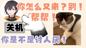 【KB呆又呆】帮帮一脚踩中关机键！是助爸爸下播的贴心小猫咪(