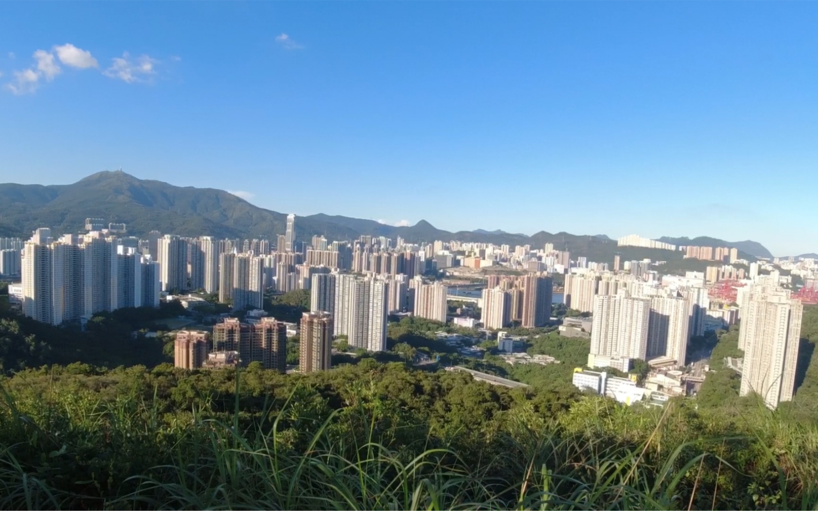 香港青衣自然径