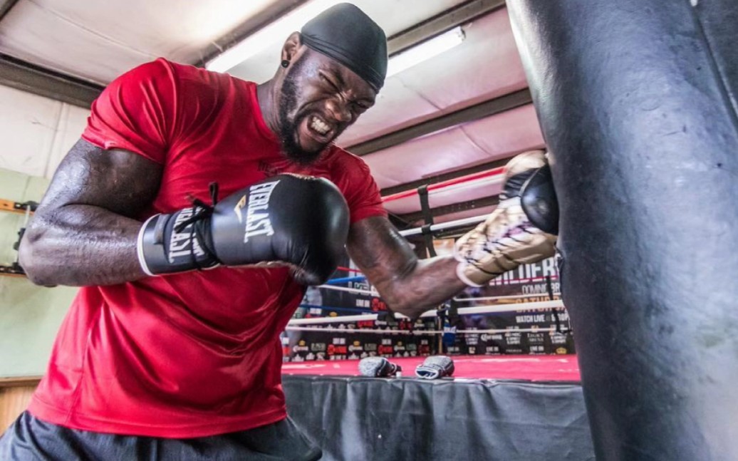 德昂塔·维尔德 deontay wilder training_哔哩哔哩 (゜-゜)つロ 干杯
