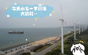 Download Video: 今天顺路拍一下搁浅的货轮吧，