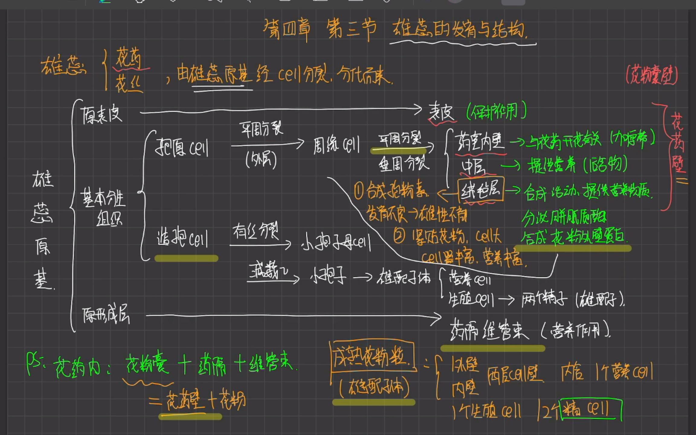 【植物学】李春奇 第四章 第三节和第四节 雄蕊和雌蕊的发育与结构哔哩哔哩bilibili