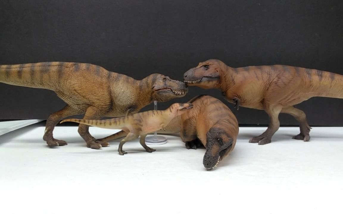 (转载 )2023 pnso卡梅隆暴龙评论!