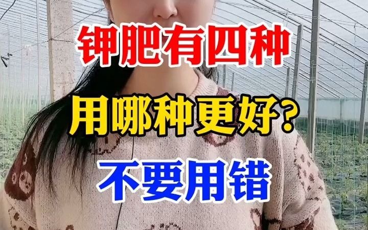 【聊三农】钾肥有四种,到底用哪种才更好呢?哔哩哔哩bilibili