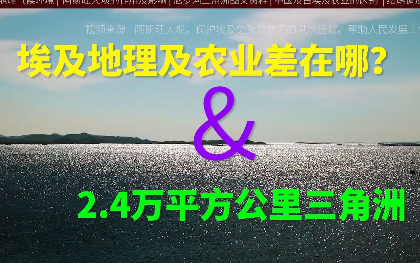 埃及地理气候及地形,2.4万平方公里的三角洲农业差在哪哔哩哔哩bilibili