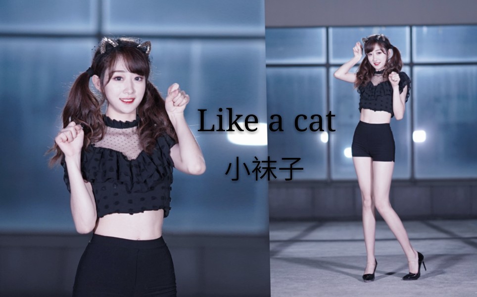 [图]【小袜子】竖屏♥猫步轻俏♥like a cat♥性感小野猫