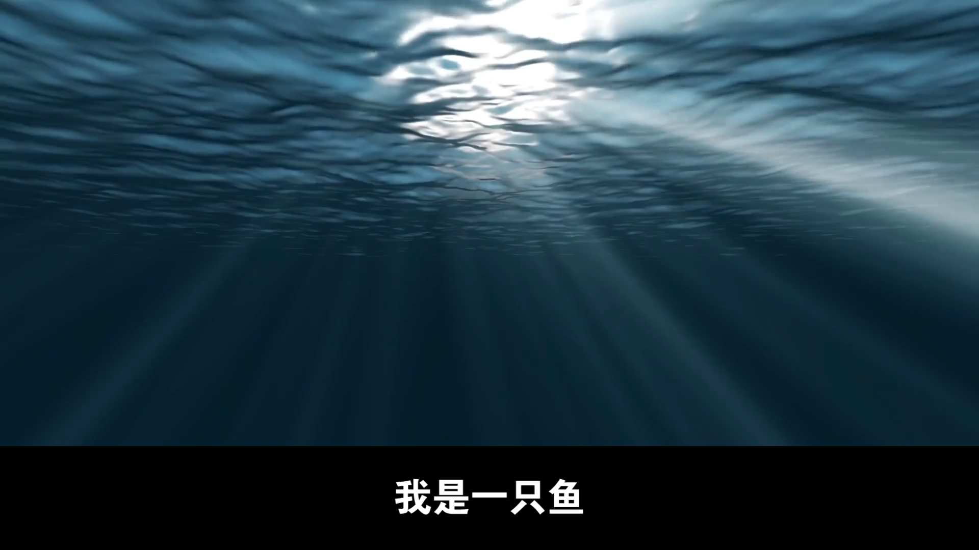 后来发现,我们都是一条鱼,只是少了七秒钟的记忆