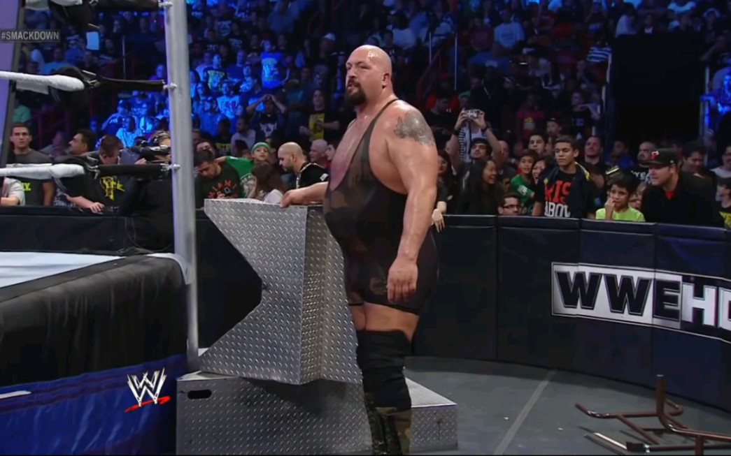 大秀哥最后站立者赛vs28托世界重量级冠军赛