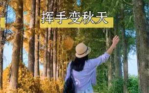 Download Video: 教你拍摄制作挥手变秋天效果