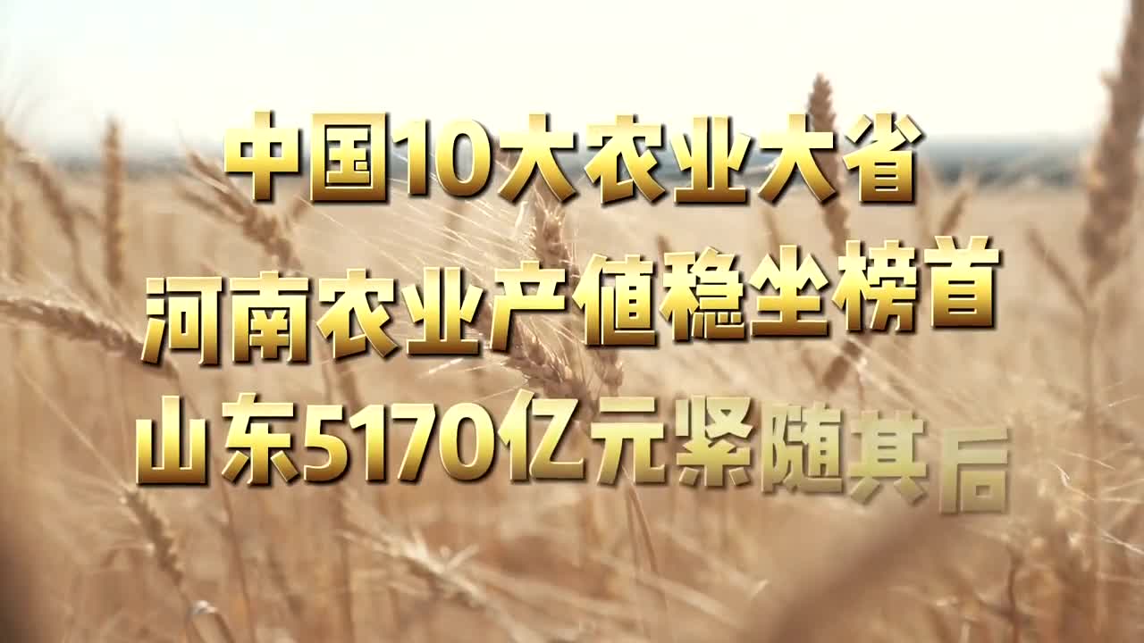 中国10个农业大省,河南农业产值稳坐榜首,山东5170亿元紧随其后哔哩哔哩bilibili