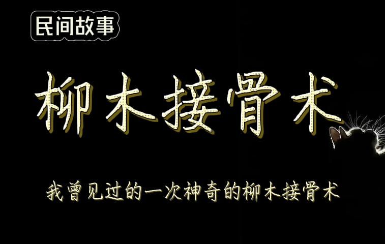 【 民间故事】我曾见过的一次神奇的柳木接骨术哔哩哔哩bilibili