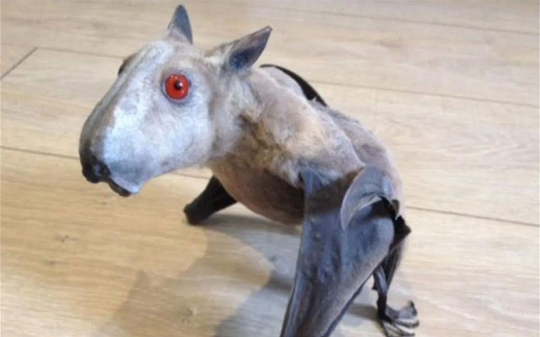 无意拍下九死一生的可怕瞬间,遇上野生动物不要擅自靠近