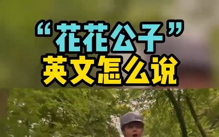 "花花公子"用英文怎么说?哔哩哔哩bilibili