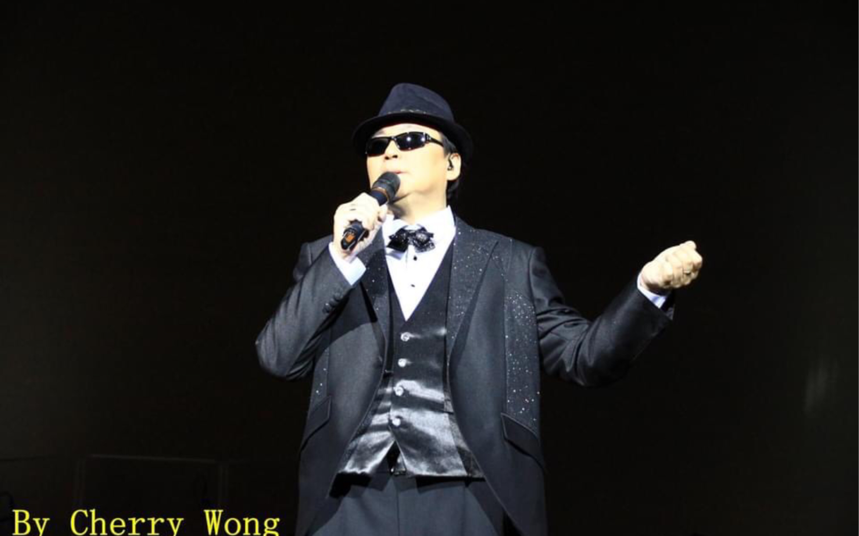 蔡枫华2015年翻唱陈慧娴名曲《人生何处不相逢》|情歌蜜语演唱会