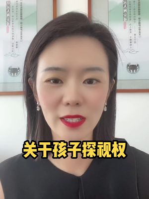 探视权如何实现?哔哩哔哩bilibili