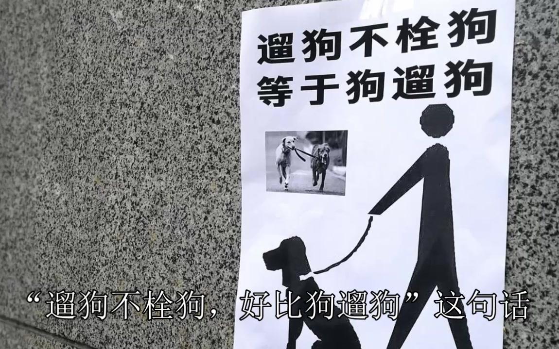 遛狗不栓狗,好比狗遛狗