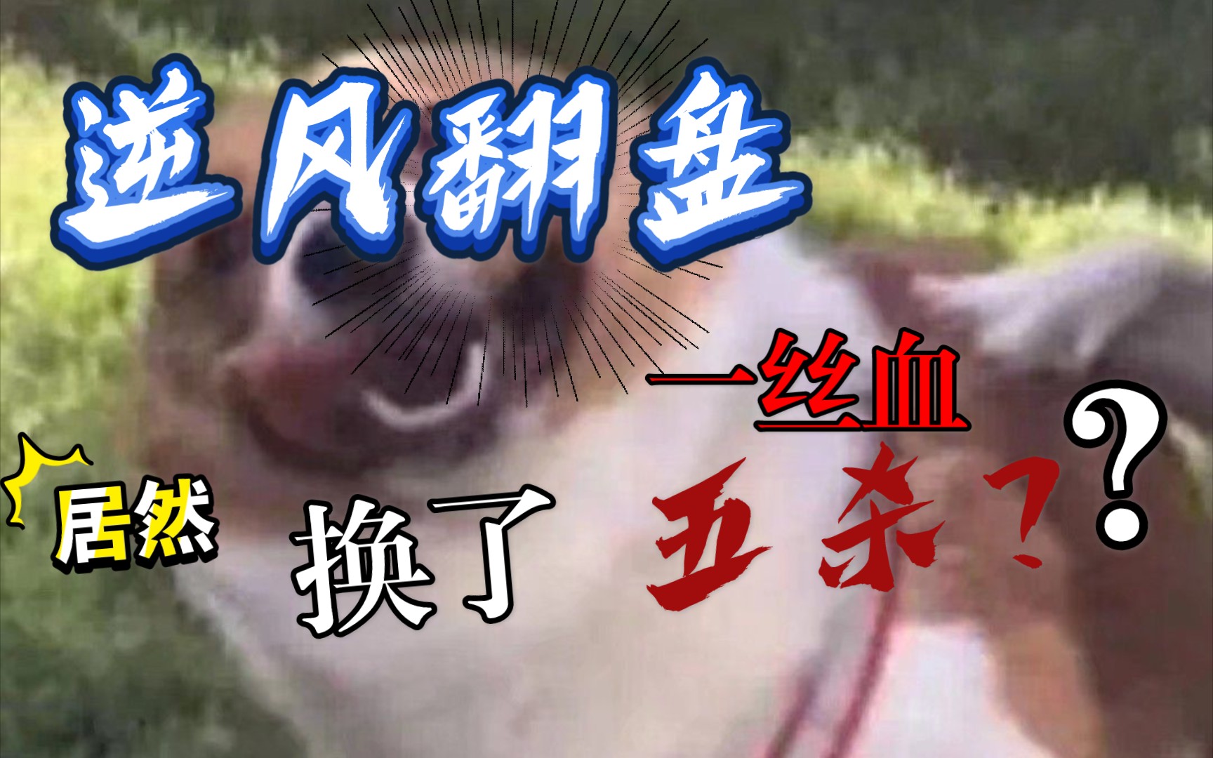 卡二丝血反杀上演精彩翻盘