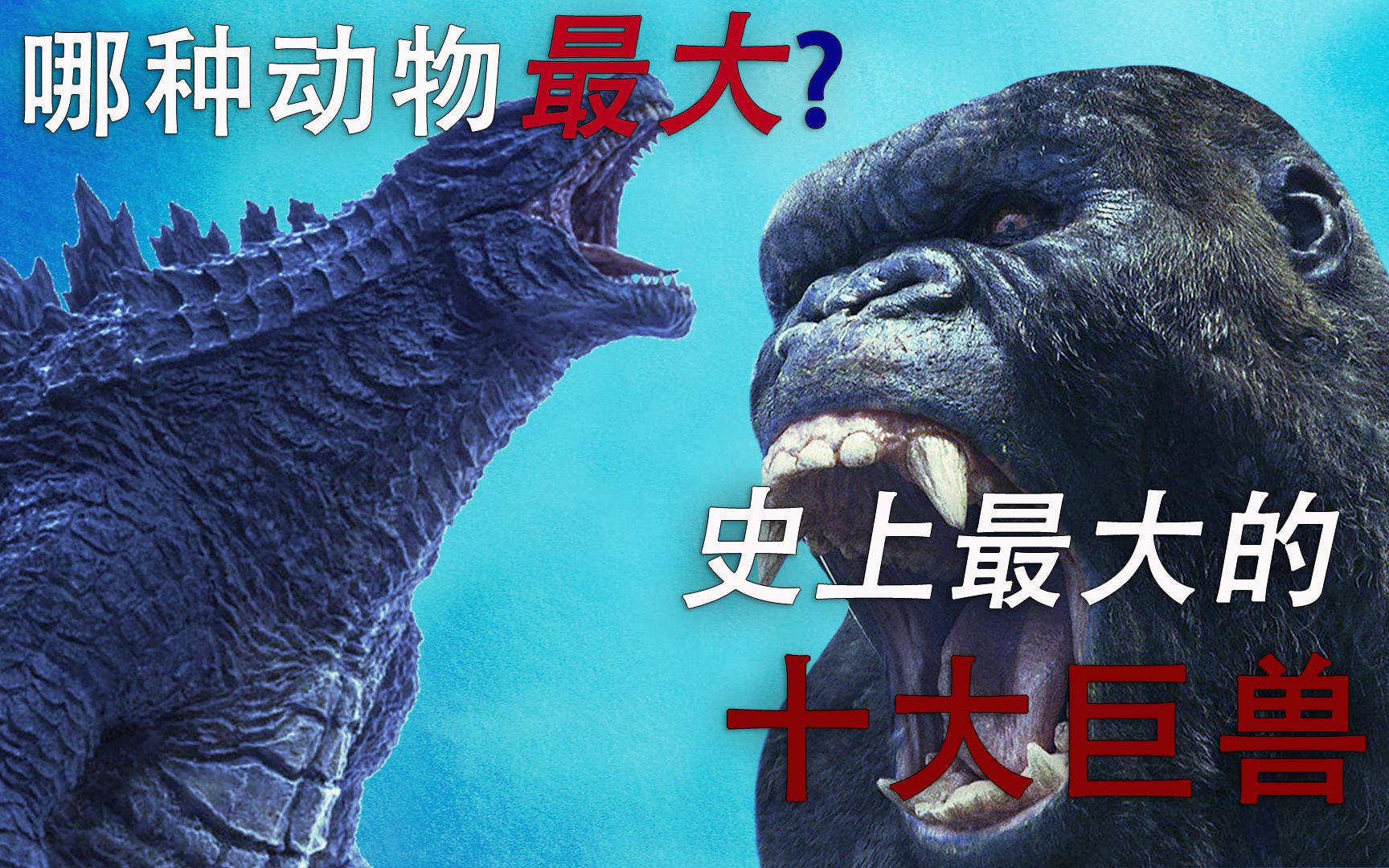 史上最大的十大巨兽巨齿鲨棘龙能排第几哪种动物体积最大
