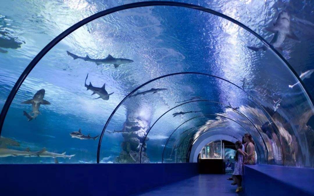 漫步大阪海洋馆高清_哔哩哔哩_bilibili