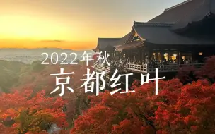 Télécharger la video: 【4K Dolby Vision】Vol.005 京都紅葉散策｜清水寺夜間特別拝観｜叡山電車 貴船 もみじ灯篭の紅葉