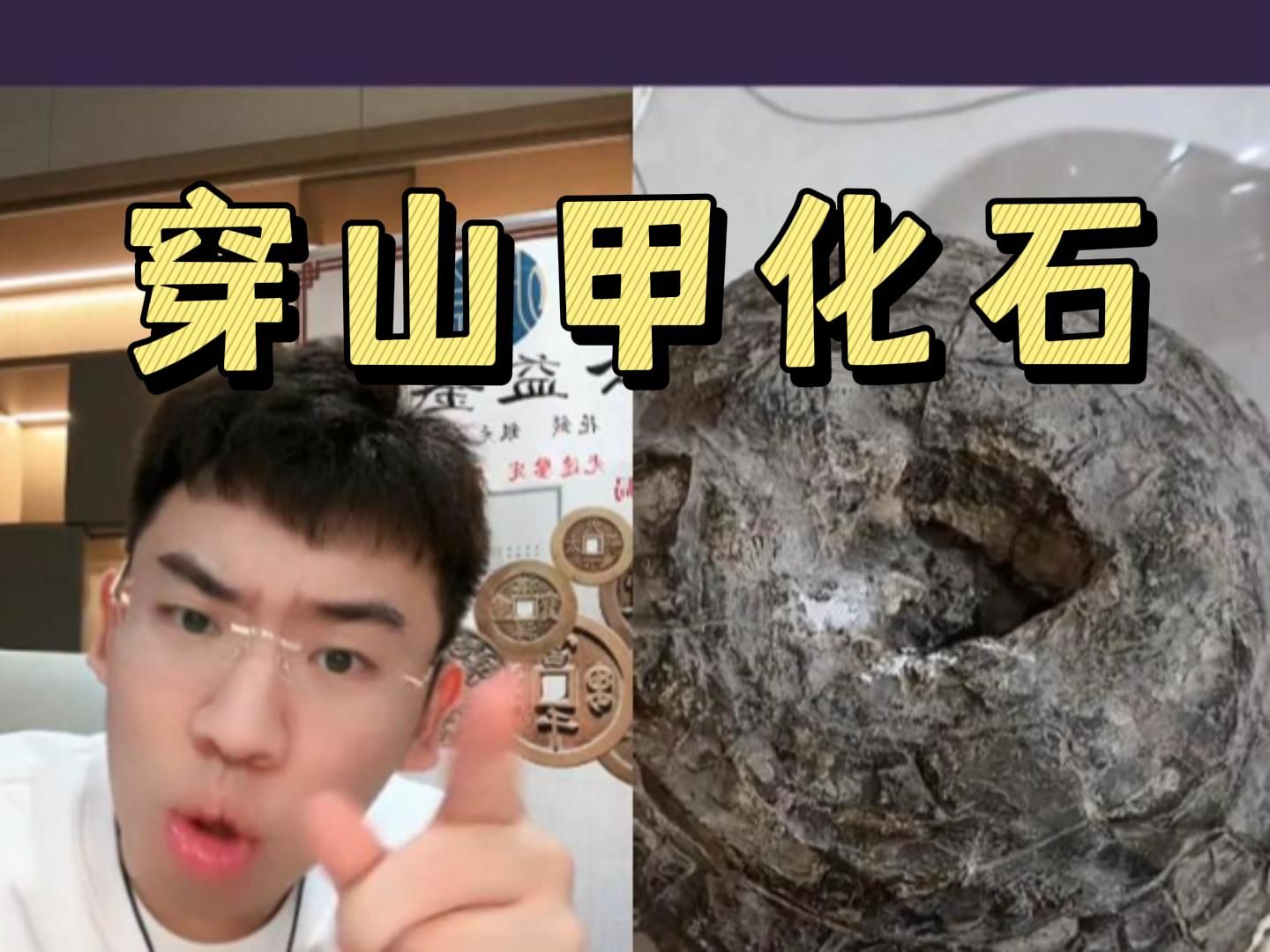 史前穿山甲化石