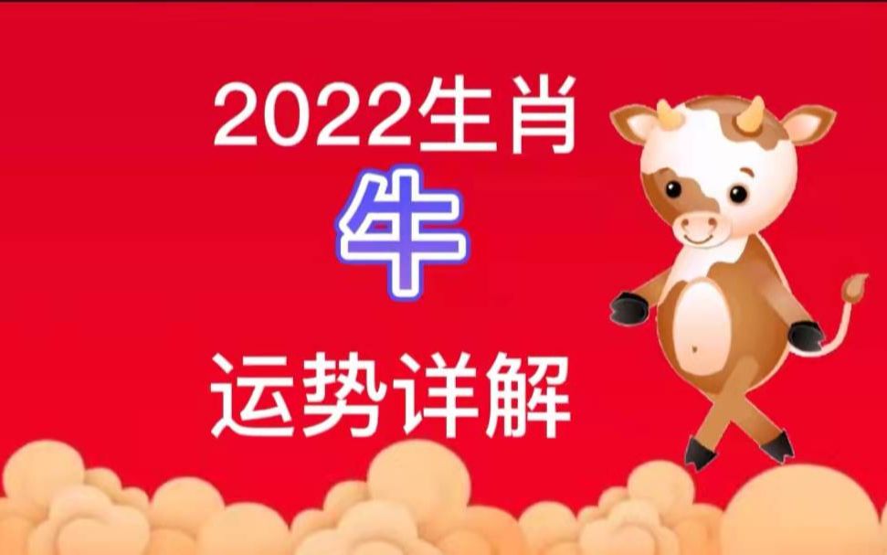 2022年 生肖牛 运程详解哔哩哔哩bilibili