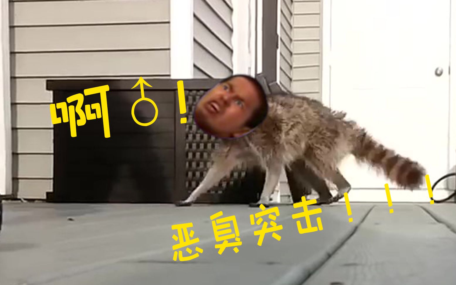 灵魂p图来自目力先辈的恶臭攻击气氛焦灼起来了