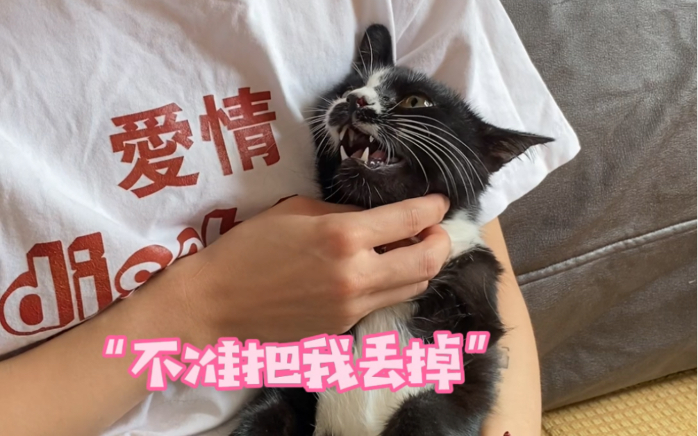 [图]其实猫猫真的什么都懂