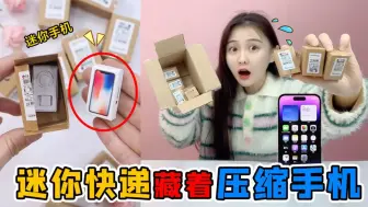 Télécharger la video: 迷你快递里有“压缩手机！指甲盖一样大还能打游戏，为啥被偷了