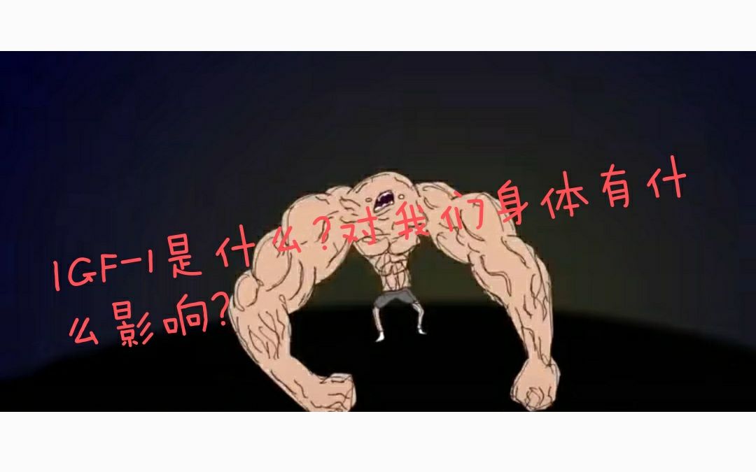 IGF1是什么?它对我们的身体有什么影响?哔哩哔哩bilibili