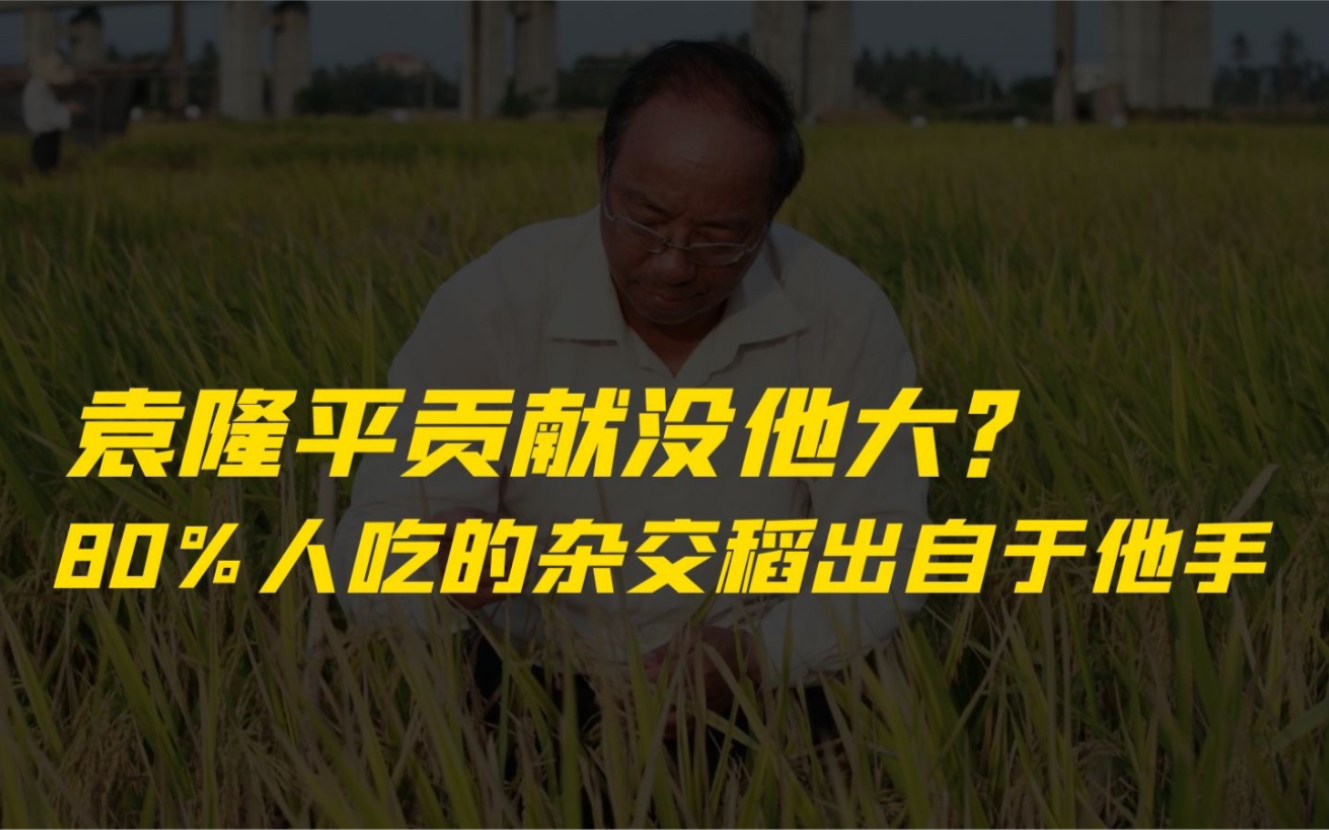 稻田守望者谢华安:他的成就比肩袁隆平,却鲜为人知!80%中国人吃到的杂交稻都是他培育的哔哩哔哩bilibili